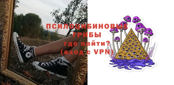 ГАЛЛЮЦИНОГЕННЫЕ ГРИБЫ Пересвет