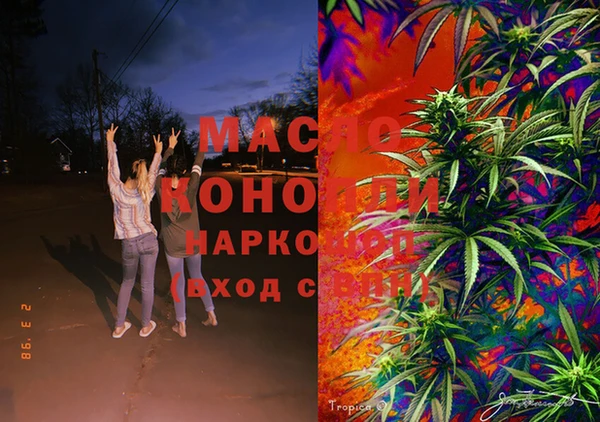 дмт Переславль-Залесский