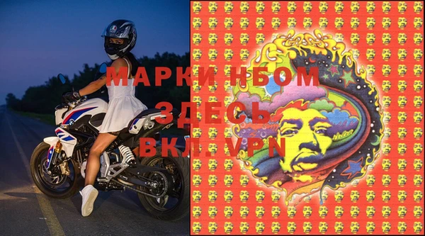 ГАЛЛЮЦИНОГЕННЫЕ ГРИБЫ Пересвет