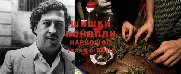 дмт Переславль-Залесский