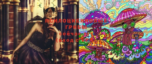 ГАЛЛЮЦИНОГЕННЫЕ ГРИБЫ Пересвет
