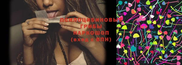 МДПВ Пестово