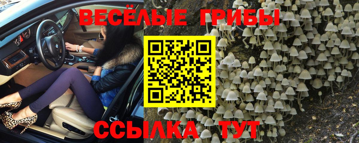 Галлюциногенные грибы мухоморы  Усть-Лабинск  Псилоцибиновые грибы ЛСД 