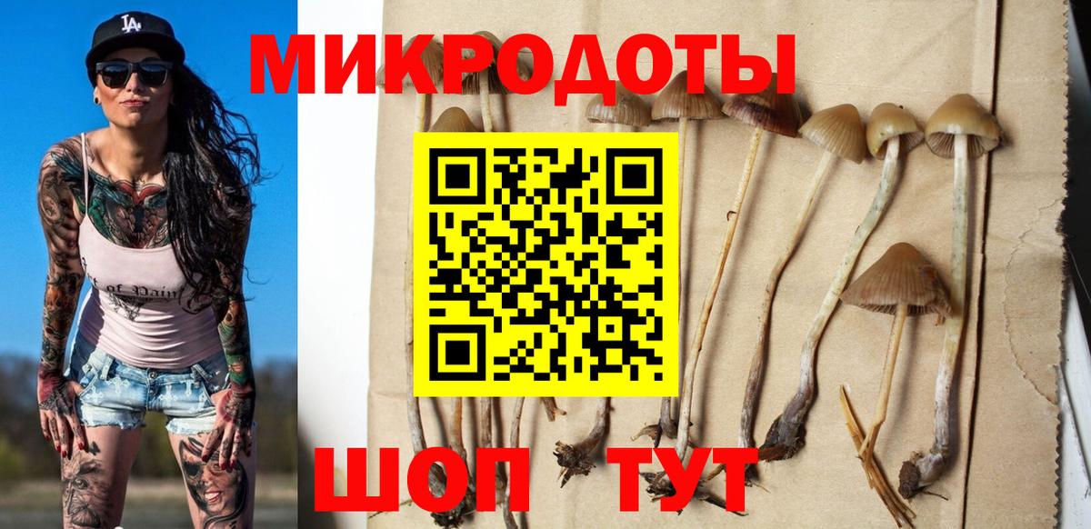 Псилоцибиновые грибы ЛСД Усть-Лабинск