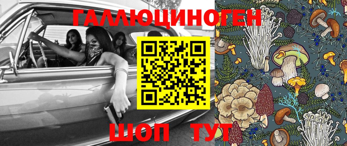 Усть-Лабинск  Псилоцибиновые грибы Magic Shrooms  Вход с VPN 